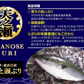 天草の潮流で身が締まった 天之瀬ぶりのカマ甘辛煮 レシピ 作り方 By あんぱん34号 楽天レシピ 天草の潮流で身が締まった 天之瀬ぶりのカマ甘辛煮 レシピ 作り方 By あんぱん34号 楽天レシピ